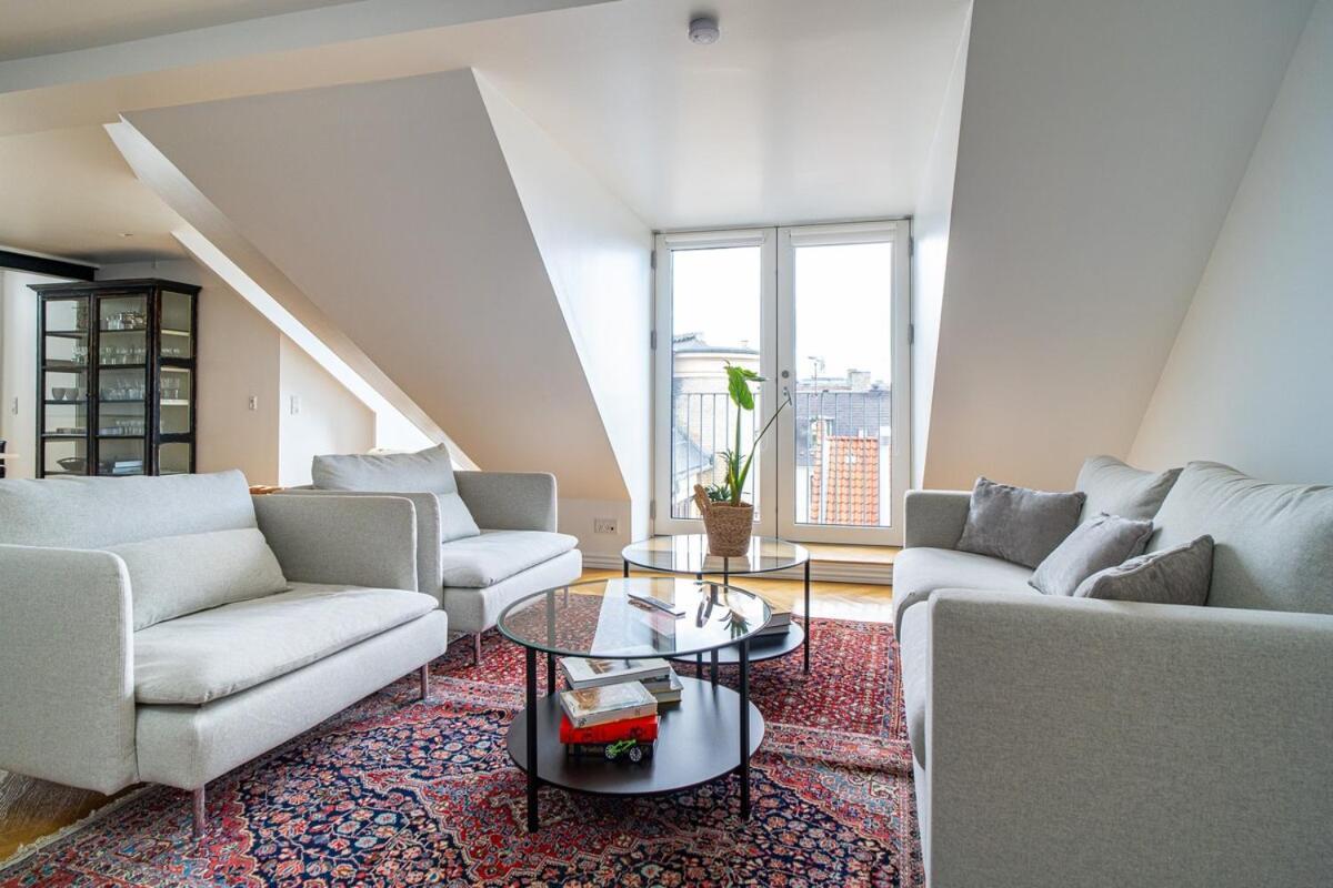 Apartment Penthouse With Panoramic Private Terrace Copenhagen